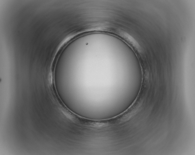 X0000112941324200908240959