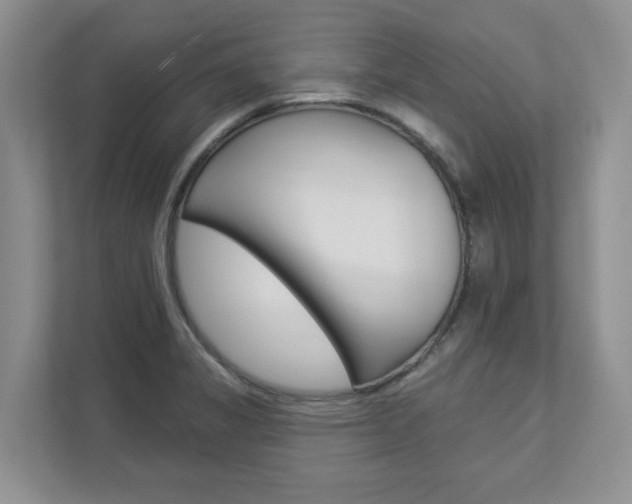 X0000112941325200908240959