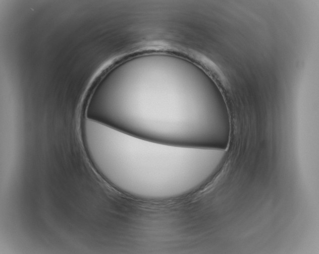 X0000112941326200908240959