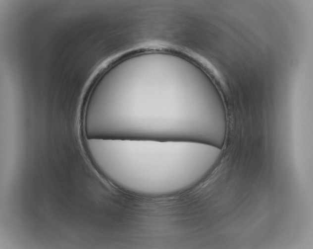 X0000112941327200908240959