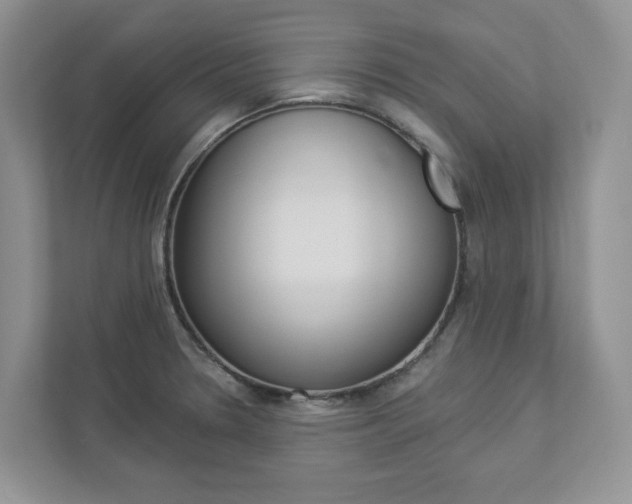 X0000112941330200908240959