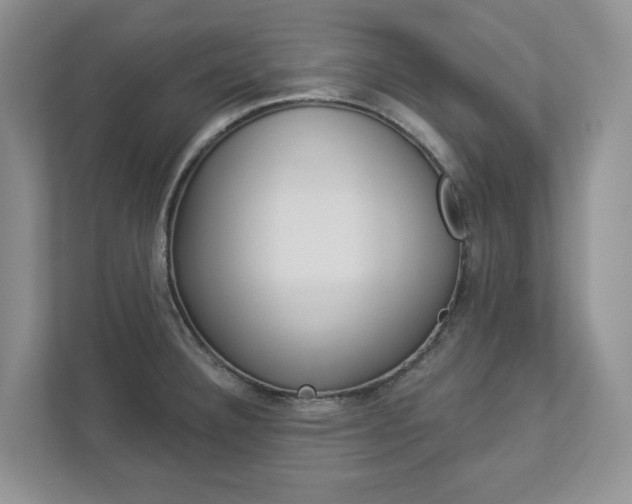 X0000112941332200908240959