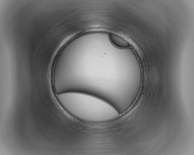 X0000112941333200908240959