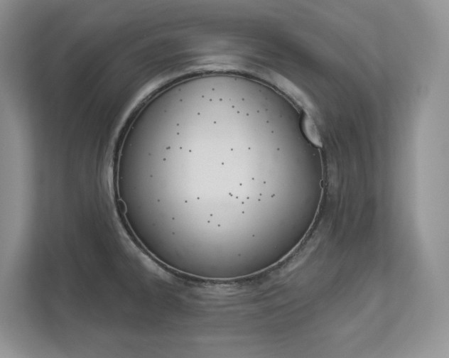 X0000112941334200908240959