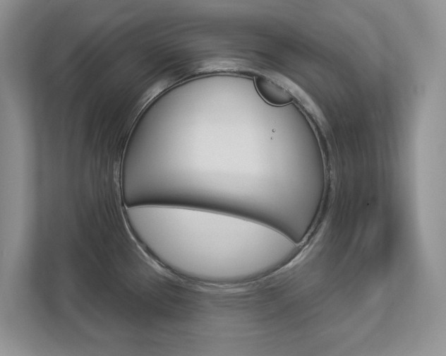 X0000112941337200908240959