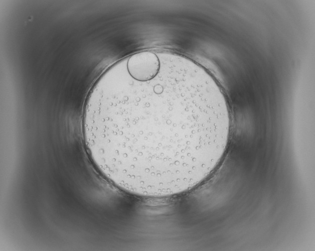 X0000112941338200908240959