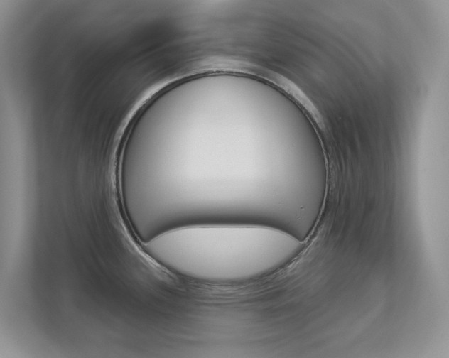 X0000112941339200908240959