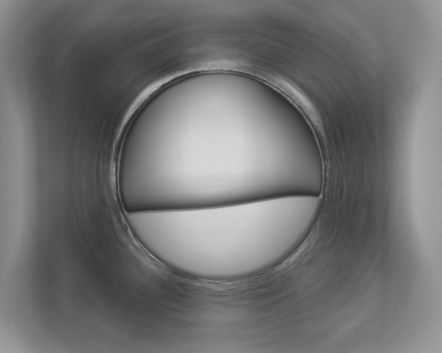 X0000112941340200908240959