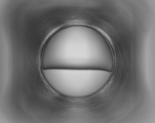 X0000112941341200908240959