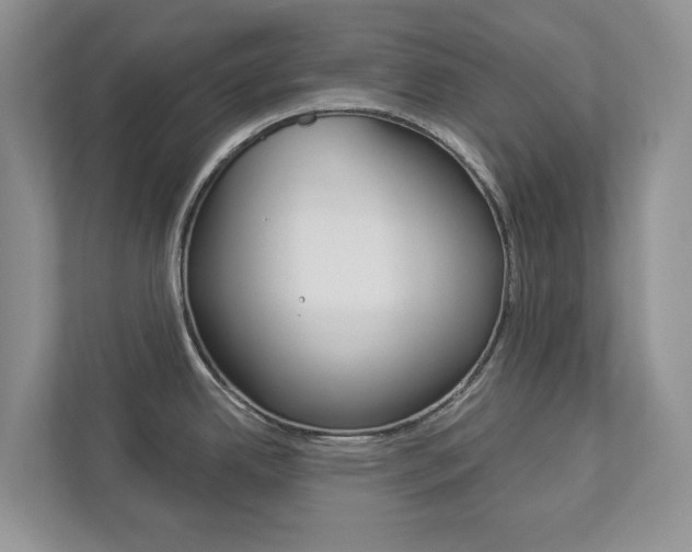 X0000112941342200908240959
