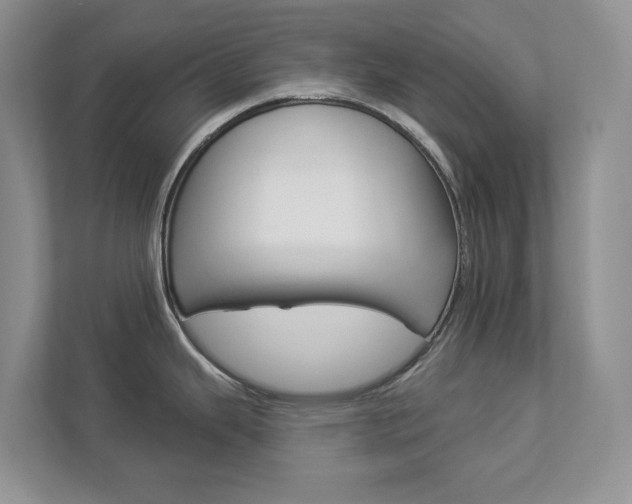 X0000112941343200908240959