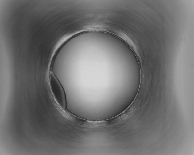 X0000112941344200908240959