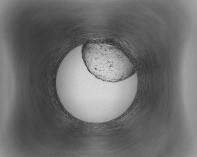 X0000112941345200908240958