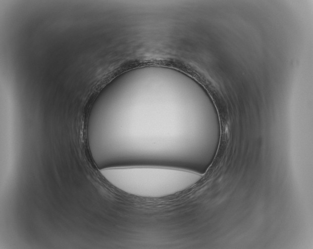X0000112941348200908240958