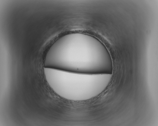 X0000112941351200908240958