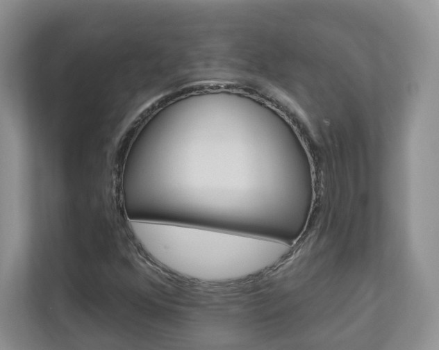 X0000112941352200908240958