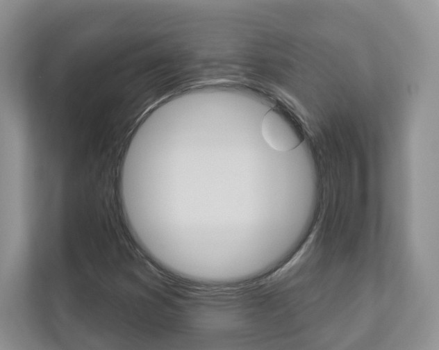 X0000112941353200908240958