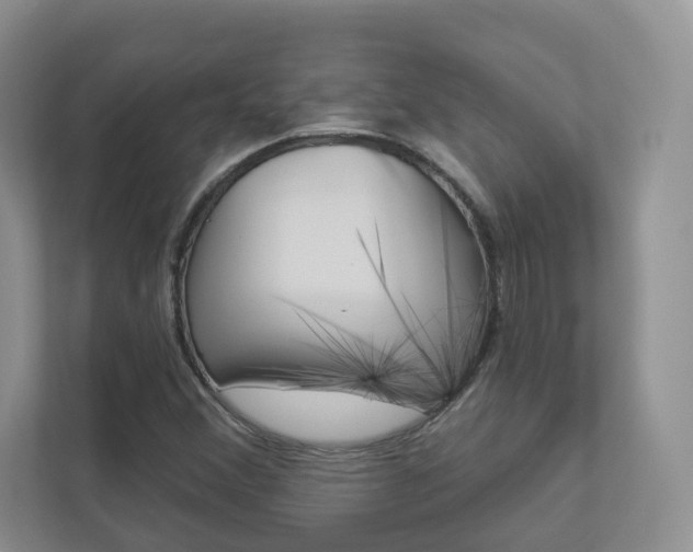 X0000112941356200908240958