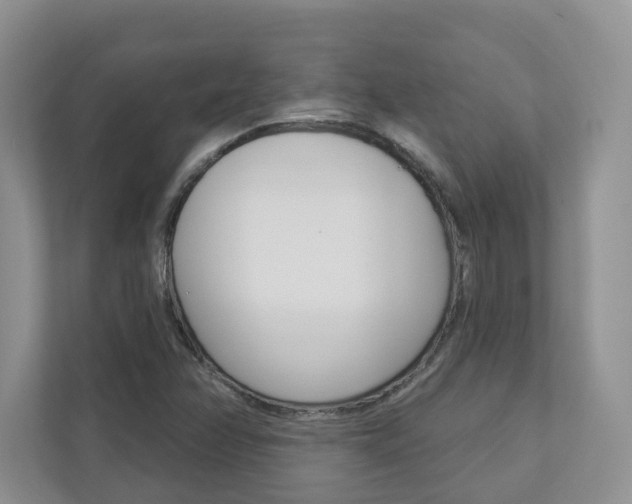 X0000112941358200908240958