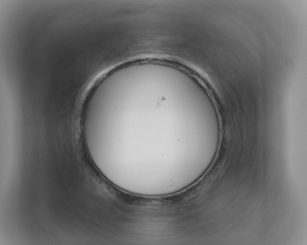 X0000112941359200908240958