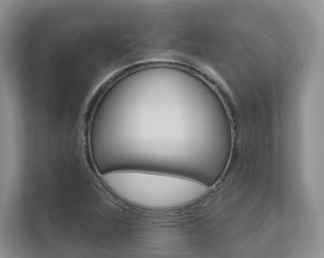 X0000112941360200908240958