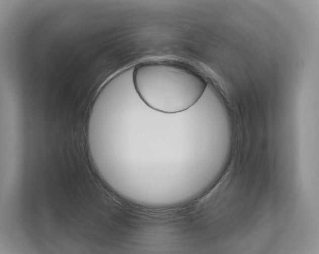 X0000112941361200908240958