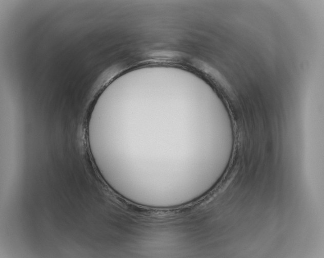 X0000112941362200908240958