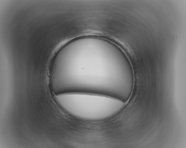 X0000112941363200908240958