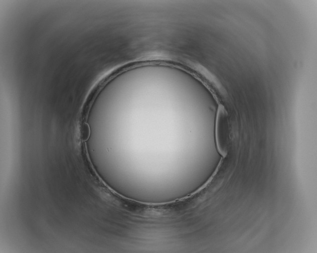 X0000112941364200908240958