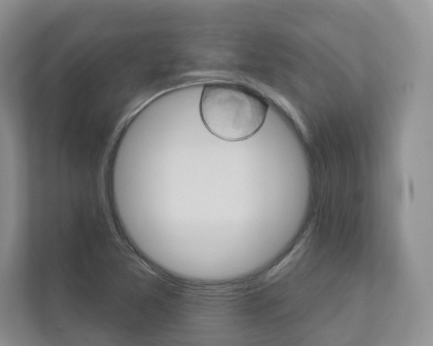 X0000112941365200908240958
