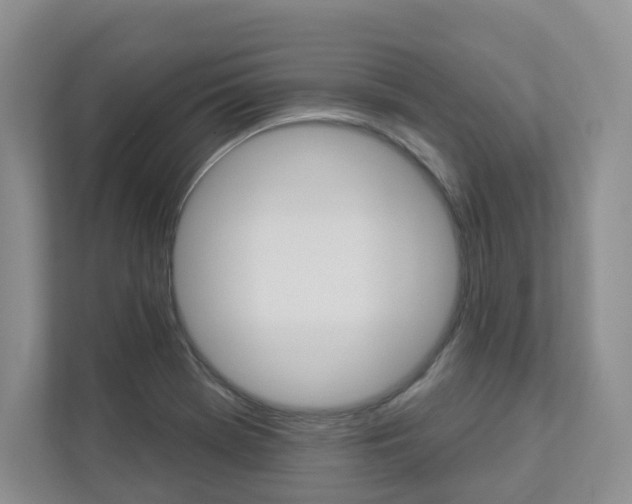 X0000112941369200908240958