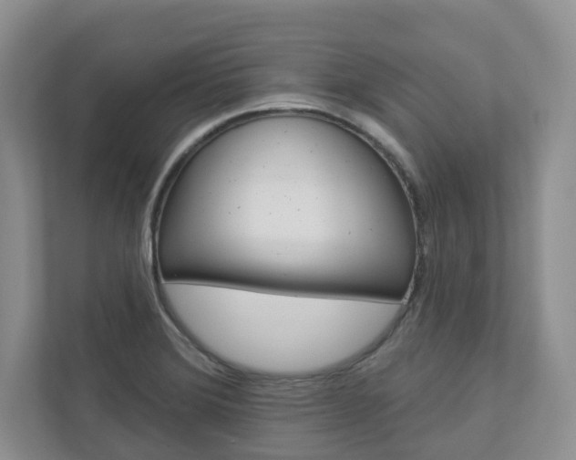 X0000112941372200908240958