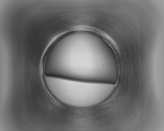 X0000112941376200908240958