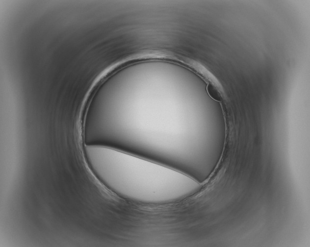 X0000112941380200908240958