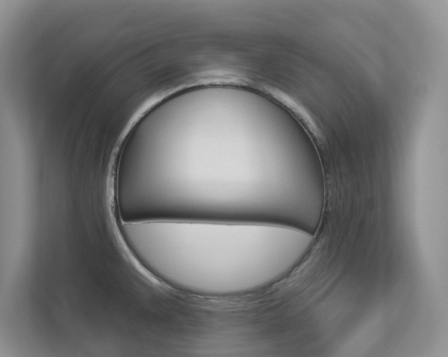 X0000112941383200908240958