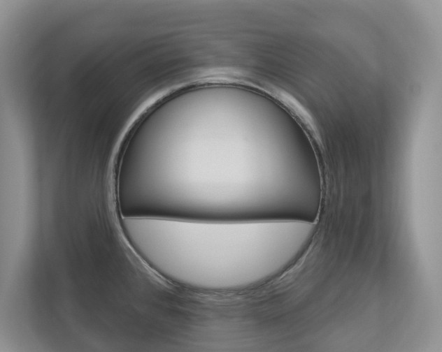 X0000112941384200908240958
