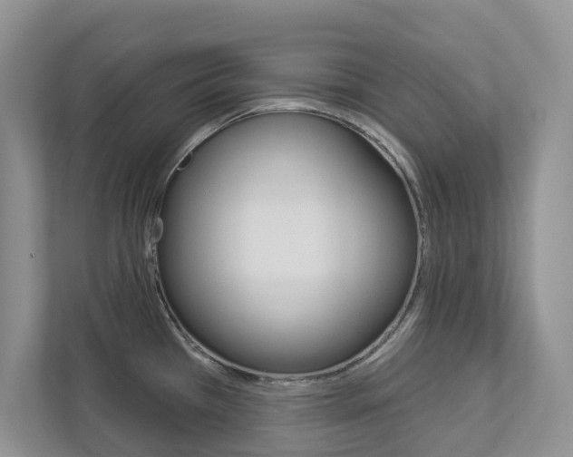 X0000112941385200908240958