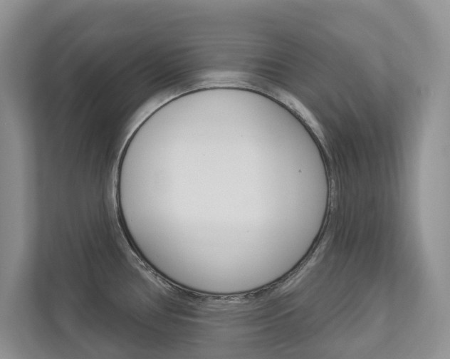 X0000112941386200908240958