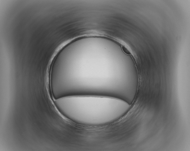 X0000112941387200908240958