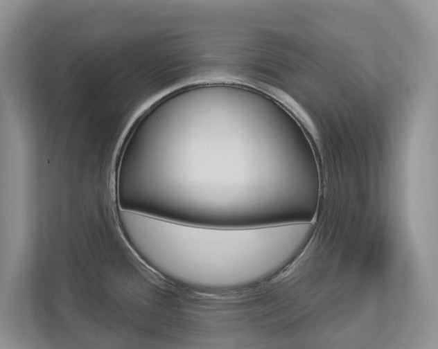X0000112941388200908240958