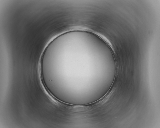 X0000112941391200908240958