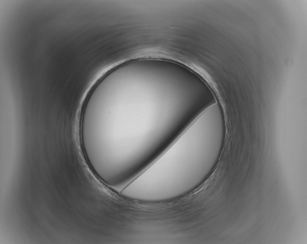 X0000112941392200908240958