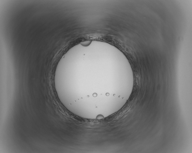 X0000112941393200908240957