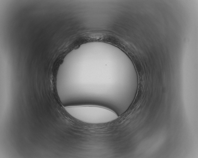 X0000112941394200908240957