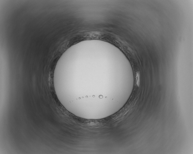 X0000112941395200908240957