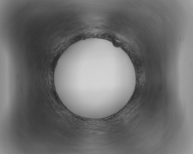 X0000112941397200908240957