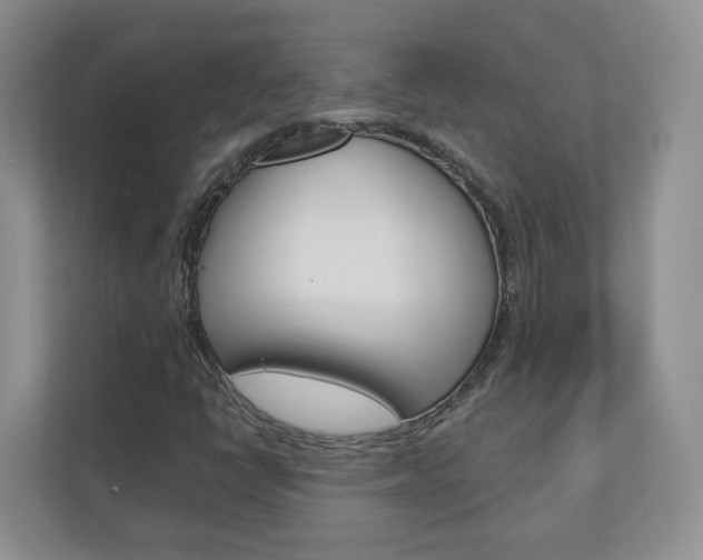 X0000112941398200908240957