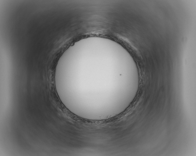 X0000112941399200908240957