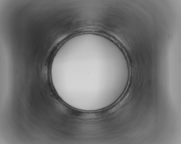 X0000112941402200908240957