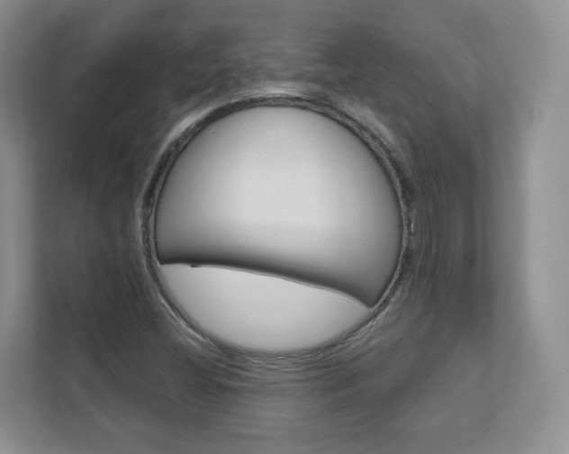 X0000112941404200908240957